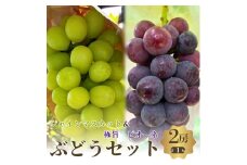 秋本番おすすめ感謝セット　シャインマスカット+ピオーネ　2房セット [№5385-0509]
