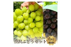 贅沢シャイン品種のぶどうセット　3種6房詰め合わせ [№5385-0511]