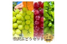 贅沢極旨ぶどうのセット　4種7房詰め合わせ [№5385-0512]