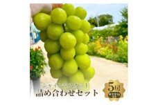 おすすめ　シャインマスカット5房セット [№5385-0515]