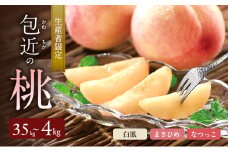 生産者限定　包近の桃(白鳳・まさひめ・なつっこ) 約3.5kg～4kg　もも 桃 大阪府 岸和田市 [№5385-0581]