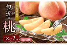 生産者限定　包近の桃(清水白桃) 約1.8kg～2kg　もも 桃 大阪府 岸和田市 [№5385-0582]