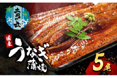 【2025年7月12日より発送】土用の丑の日「国産うなぎ蒲焼」5尾(1.2kg～1.25kg) [№5385-0610]