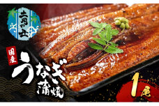 【2025年7月12日より発送】土用の丑の日「国産うなぎ蒲焼」1尾(240g～250g) [№5385-0614]