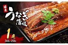 「国産うなぎ蒲焼」1尾(240g～250g)[№5385-0631]