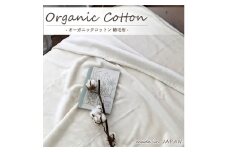 ＜シングル＞贅沢ふわふわオーガニックコットン綿毛布　140×200cm　IV　OGMM-1-IV [№5385-0805]