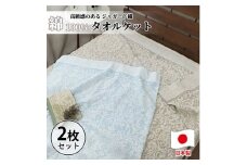 ＜2枚組＞国産ジャガード織りタオルケット　シングルサイズ(140×190cm) SNT-10T-2P [№5385-0881]