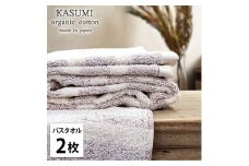 ＜バスタオル2枚組＞オーガニックコットンバスタオル(60×120cm)  かすみRE [№5385-1017]