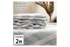 ＜バスタオル2枚組＞オーガニックコットンバスタオル (60×120cm) かすみGY [№5385-1019]