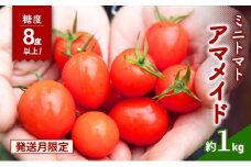 【農家さん一押し】ミニトマト1kg【2026年5月6月出荷】アマメイド糖度8度以上[№5385-1111]