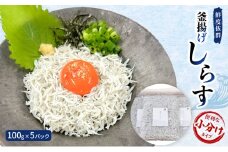 鮮度抜群 釜揚げしらす100g×5パック　便利な小分けタイプ [№5385-0449]