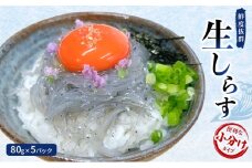 鮮度抜群 生しらす80g×5パック　便利な小分けタイプ [№5385-0450]