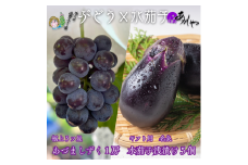 贈答用　夏一番ぶどう あづましずく１房＋泉州水なす ぬか漬け5個入 [№5385-0485]