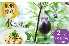 泉州特産水なす(生)　ナス 茄子 なす 泉州産 水なす [№5385-0584]