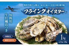 加熱用　生牡蠣殻つき　1kg （約11個～18個）調理方法付き フライングオイスター牡蠣  春木牡蠣養殖共同事業 岸和田市 [№5385-1143]