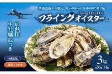 加熱用　生牡蠣殻つき　3kg （約33個～54個）調理方法付き フライングオイスター牡蠣  春木牡蠣養殖共同事業 岸和田市 [№5385-1145]