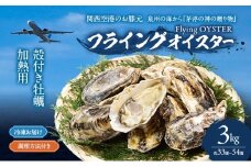 冷凍お届け　殻付き牡蠣　3kg （約33個～54個）加熱用 調理方法付き フライングオイスター牡蠣  春木牡蠣養殖共同事業 岸和田市 [№5385-1150]