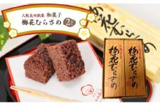 ＜2本入＞大阪泉州銘菓　和菓子梅花むらさめ/伝統菓子 和菓子 手土産 贈り物やご自宅用に 和菓子  小分け 老舗  [№5385-0464]