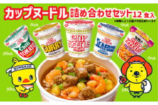 【05-05-C】「インスタントラーメン発祥の地・大阪池田」お手頃ハーフサイズセット