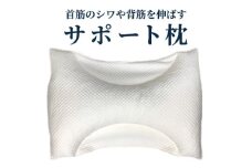 首筋のシワや背筋を伸ばすサポート枕 ピロー[0374]
