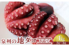 泉州の地ダコ1kg(2尾～3尾)[0530]