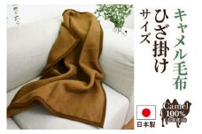 キャメル毛布 ひざ掛けサイズ [4999]