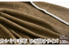 カシミヤ毛布 ひざ掛けサイズ [2163]