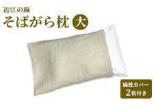 近江の麻そばがら枕 大 麻枕カバー2枚付き[0352]