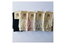 【限定10セット】日本製 絹 5本指 レディース ソックス 5色組[0470]
