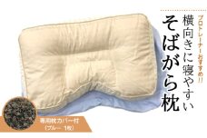 プロトレーナーが薦める 横向きに寝やすいそばがら枕 専用ブルー枕カバー付き ※離島への配送不可