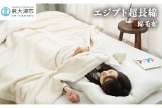 エジプト超長綿 綿毛布 セミダブル 160×200cm C555SD ナチュラル系 [4578]