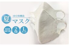 大津毛織 夏マスク Lサイズ 2枚組 保冷剤装着できる洗って使える和紙3D立体構造｜マスク 夏用 3D 3Dマスク 立体 立体マスク 大津毛織  Lサイズ 和紙 国産マスク 日本製 日本製素材 蒸れない 感染対策 風邪予防 顔用