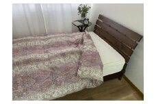 羽毛合掛け布団 フランス産WDD93% ダブル 1.0kg入り 1枚 N－6492－7DPI[1207]