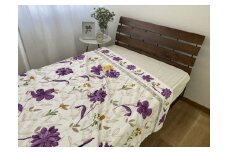 日本製 洗える タオルケット シングル 140x190cm 1枚 N－PK68－8068PI[1217]