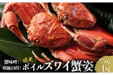 蟹味噌！垂涎の的！特大ボイルズワイ蟹姿 750g 1尾 [1616]