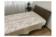 泉大津産 綿マイヤー毛布 シングル 140×200cm 1枚 S－81726BE [2261]