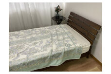 泉大津産 綿マイヤー毛布 シングル 140×200cm 1枚 S－81726GR [2262]
