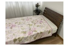 泉大津産 綿マイヤー毛布 シングル 140×200cm 1枚 S－81722PI [2263]