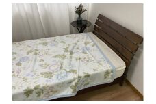 泉大津産 綿マイヤー毛布 シングル 140×200cm 1枚 S－81722BL [2264]