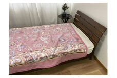 泉大津産 綿マイヤー毛布 シングル 140×200cm 1枚 S－81723PI [2265]