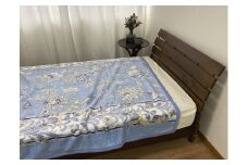 泉大津産 綿マイヤー毛布 シングル 140×200cm 1枚 S－81723BL [2266]