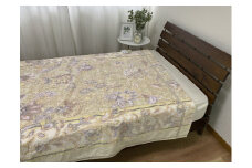 泉大津産 先白FBZ タオルケット シングル 140×200cm 1枚 S－13188BE [2267]