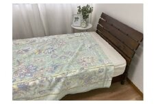 泉大津産 先白FBZ タオルケット シングル 140×200cm 1枚 S－13188GR [2268]