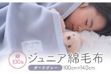 綿100% ジュニア毛布 (ダークグレー) 100×140cm 毛布の町泉大津市産 N-MMJ300 [2465]