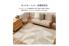 日本製 高機能 カーペット ベージュ 1枚 約130×190cm 600021700型｜防ダニ 抗菌 防臭 消臭 抗ウイルス 花粉対策 オールシーズン インテリア [3197]