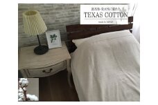 TEXSAS COTTON 100% タオルケット シングル ベージュ 1枚 SNT-20TXBE ｜綿100% 厚手 毛布 速乾 軽量 快眠 快適 熟睡 睡眠 洗える 洗濯可能 丸洗い可能  [3231]