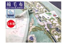 泉大津市産 丸洗いOK マイヤー綿毛布 (ニューマイヤー毛布) シングル (グリーン)1枚 81715 GR [3625]