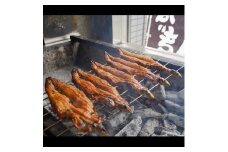 [冷蔵配送] 備長炭手焼き国産うなぎ1尾 (160g～170g) 名店 鰻 ウナギ うな丼 鰻丼 冷蔵 クール便 ひつまぶし 丑の日 簡単調理 ※北海道・沖縄・離島への配送不可 [3562]