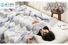 [睡眠環境・寝具指導士 推奨] マイヤー毛布 シングルロング グレー JM-2203LGY [3702]