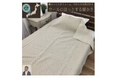 [睡眠環境・寝具指導士 推奨] ウール100% (毛羽部分) 毛布 シングル ベージュ WOOL-1BE [3705]